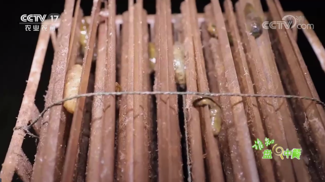 202106261732551755.png 202106261732551755.png