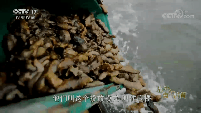 202106261729124383.gif 202106261729124383.gif