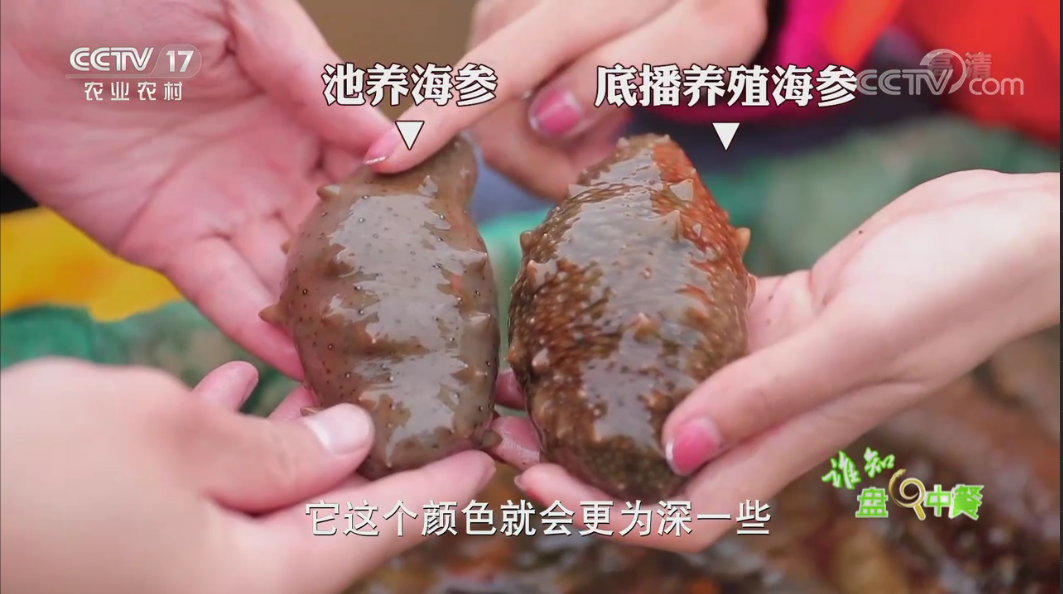 202106261729159015.png 202106261729159015.png