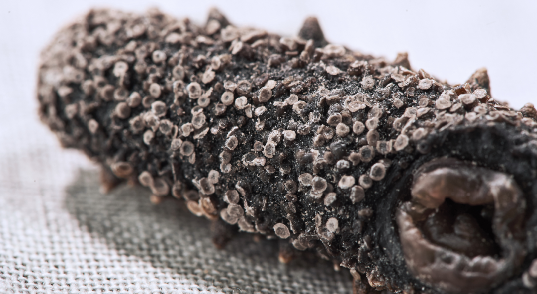 202108201325253479.png 202108201325253479.png